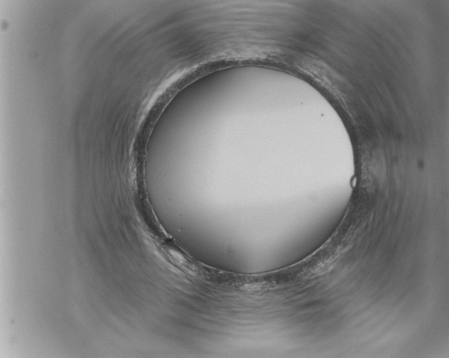 X0000069840584200606021403