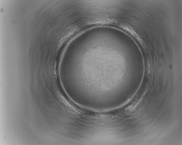 X0000069840585200606021403