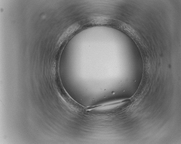 X0000069840586200606021403