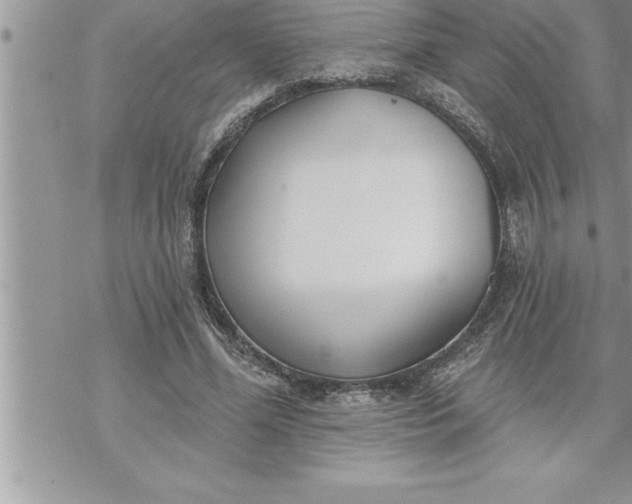 X0000069840588200606021403