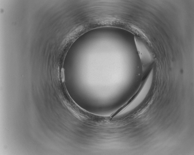 X0000069840589200606021403