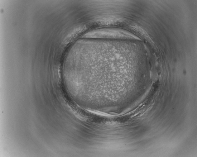 X0000069840590200606021403