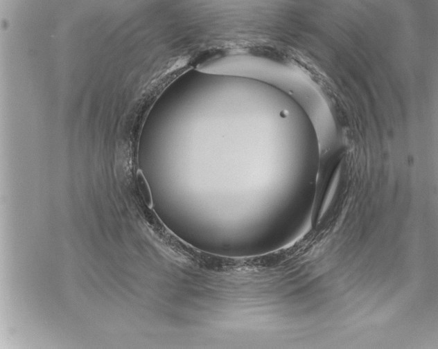 X0000069840593200606021403