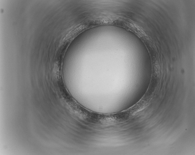 X0000069840594200606021403