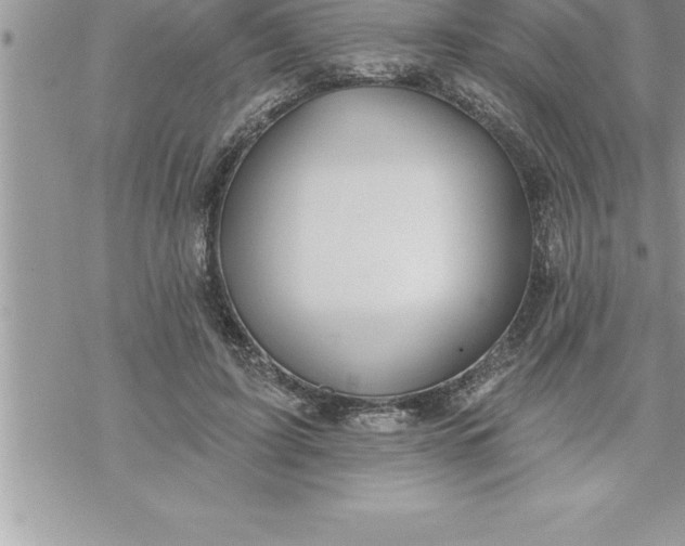 X0000069840595200606021403