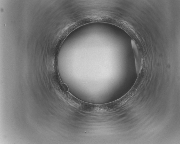 X0000069840596200606021403