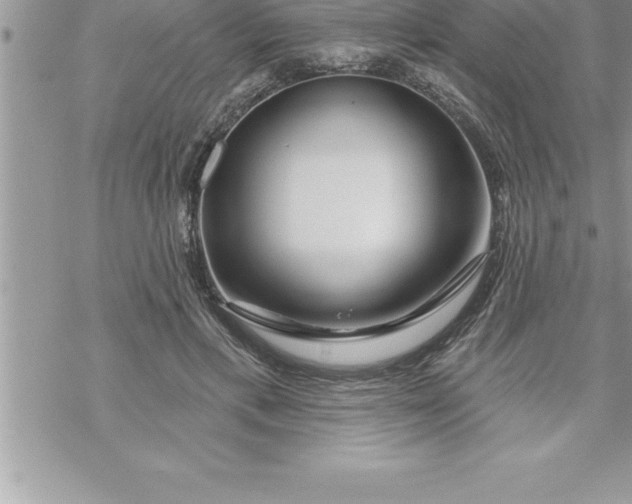 X0000069840597200606021403