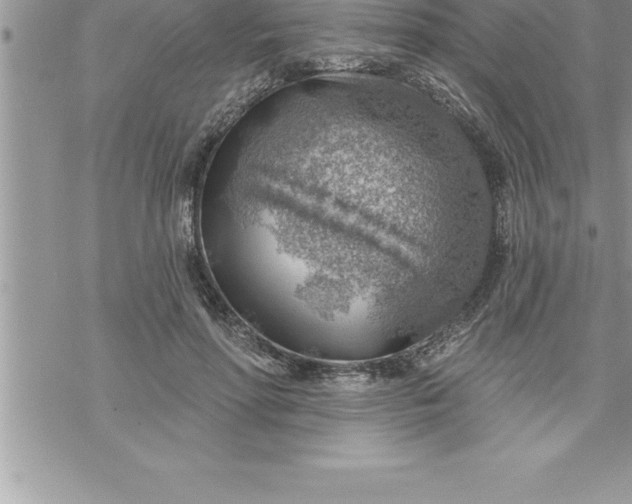 X0000069840598200606021403