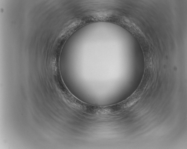 X0000069840599200606021403