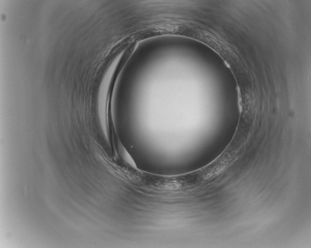 X0000069840600200606021403