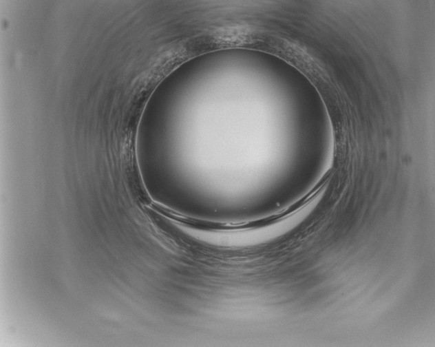 X0000069840601200606021403