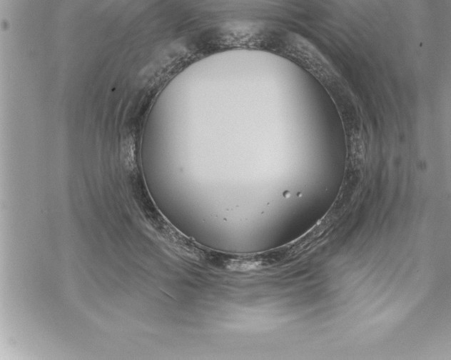 X0000069840602200606021403