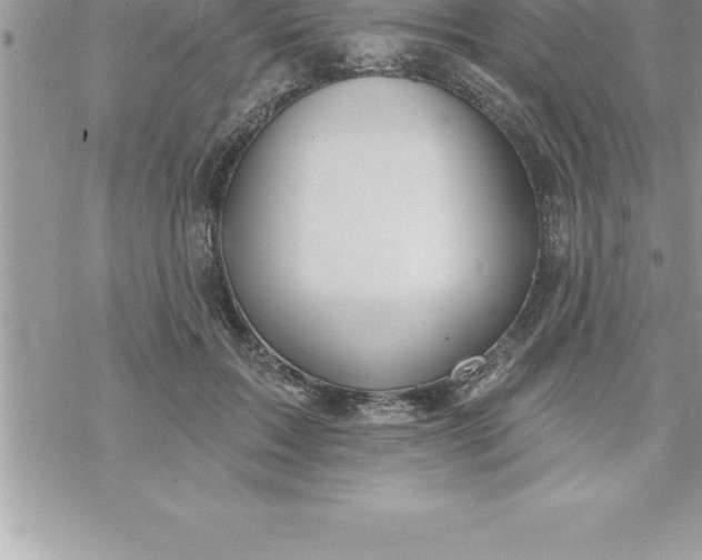 X0000069840603200606021403