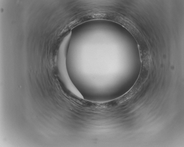 X0000069840604200606021403