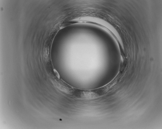 X0000069840605200606021403