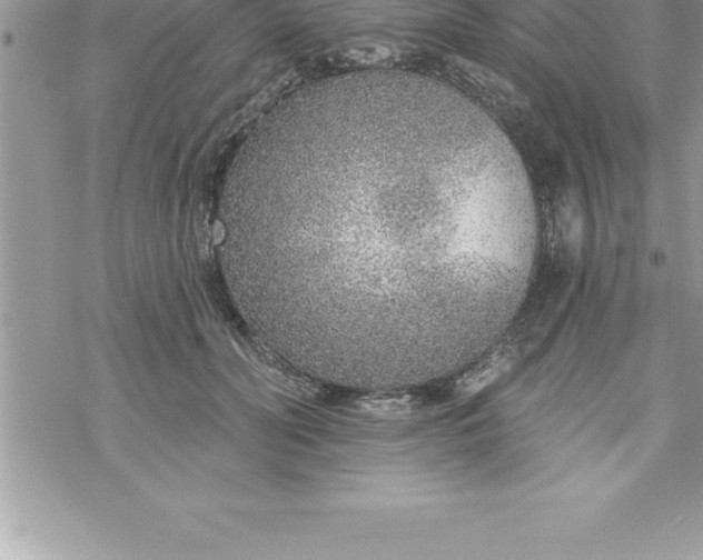 X0000069840606200606021403