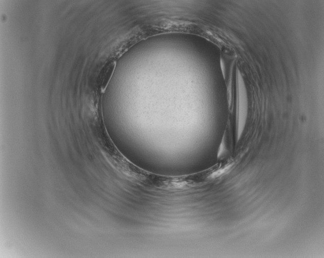 X0000069840607200606021403