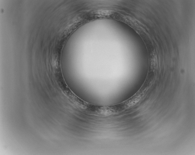 X0000069840608200606021403