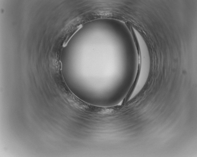 X0000069840609200606021403