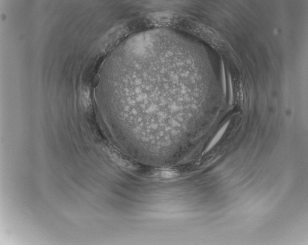 X0000069840610200606021403