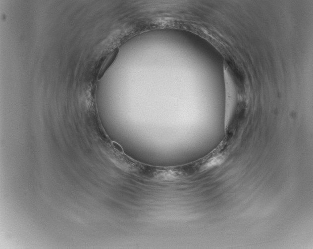 X0000069840611200606021403