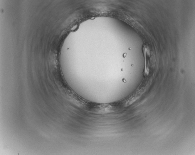 X0000069840612200606021403