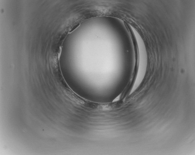 X0000069840613200606021403