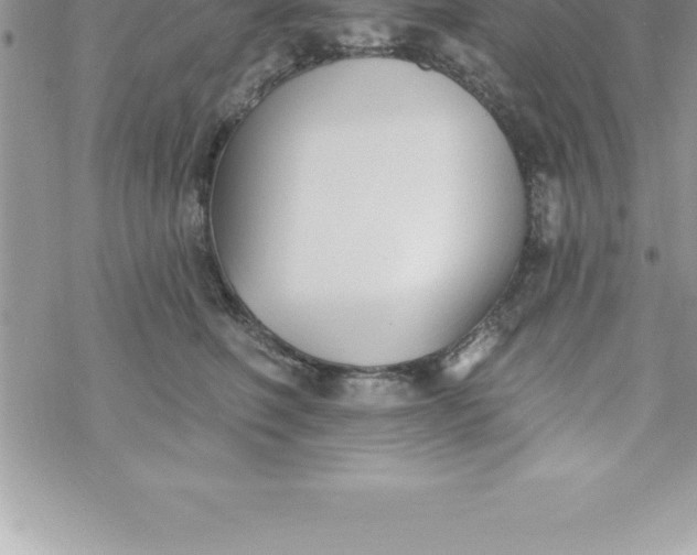 X0000069840614200606021403