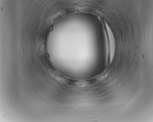 X0000069840615200606021403