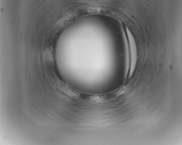 X0000069840616200606021403