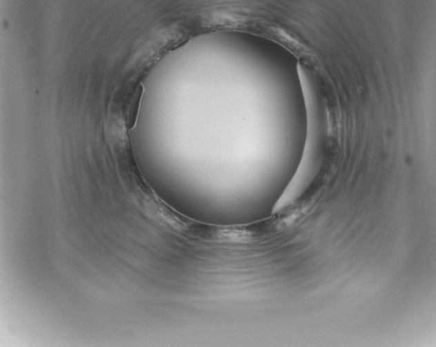 X0000069840617200606021403