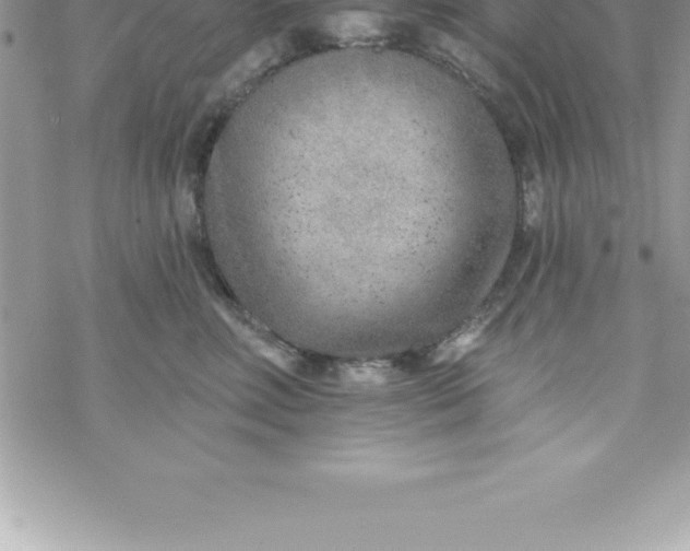 X0000069840618200606021403