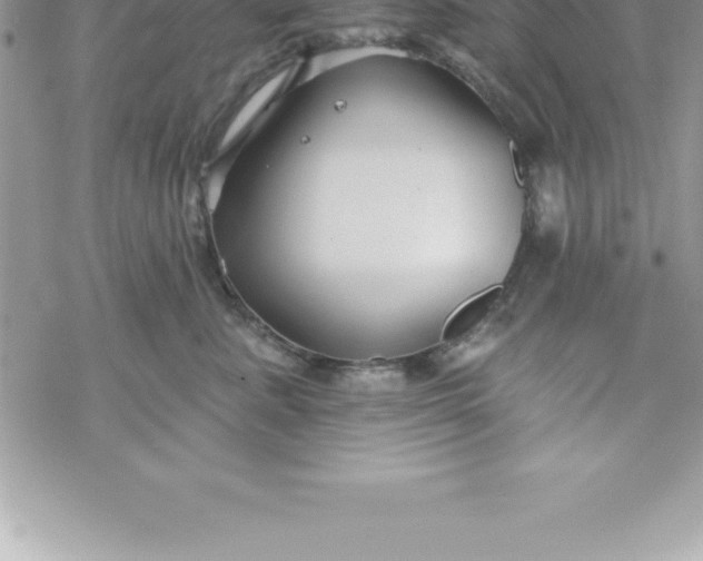 X0000069840619200606021403