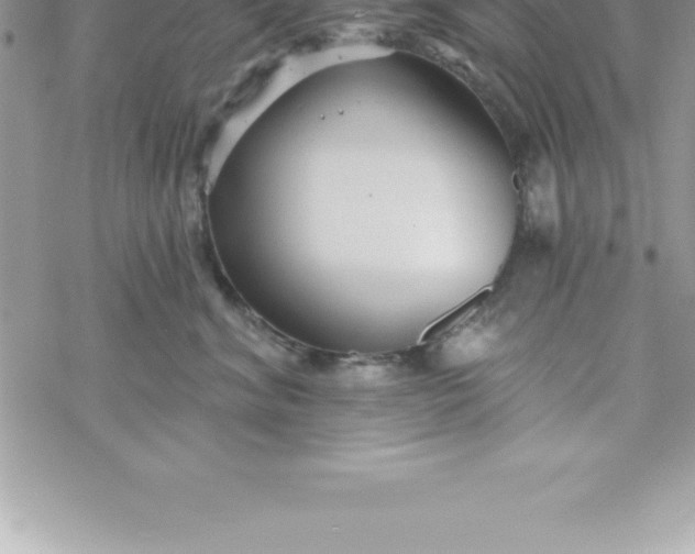 X0000069840620200606021403