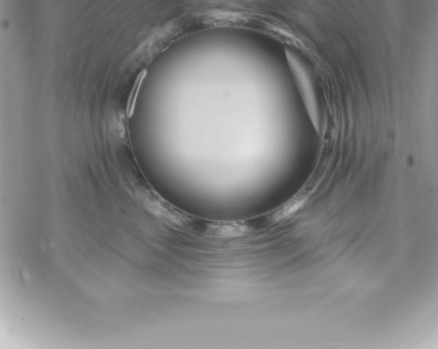 X0000069840621200606021403