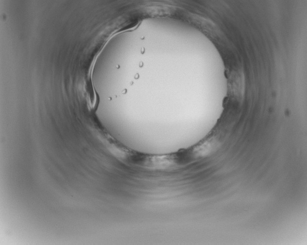 X0000069840622200606021403