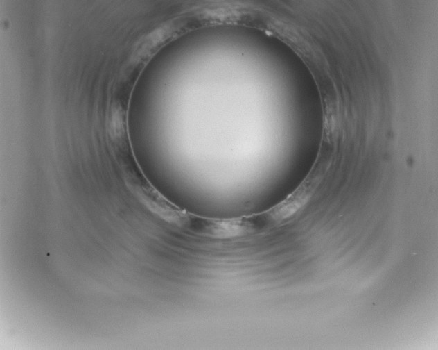 X0000069840623200606021403