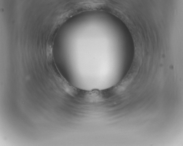 X0000069840624200606021403