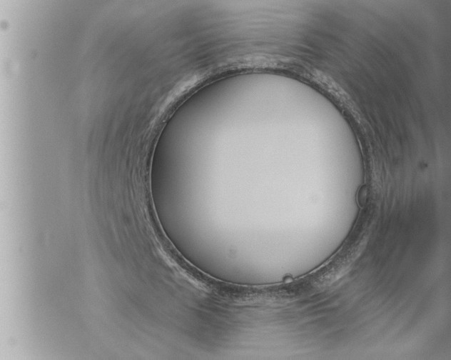 X0000069840625200606021402