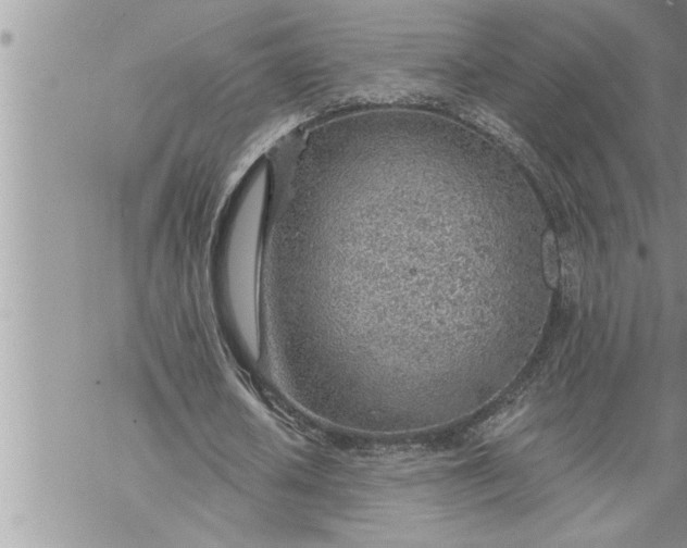 X0000069840626200606021402