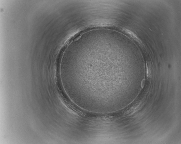 X0000069840627200606021402