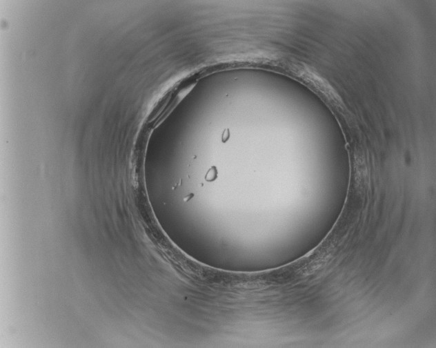 X0000069840628200606021402