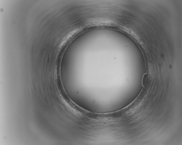 X0000069840629200606021402