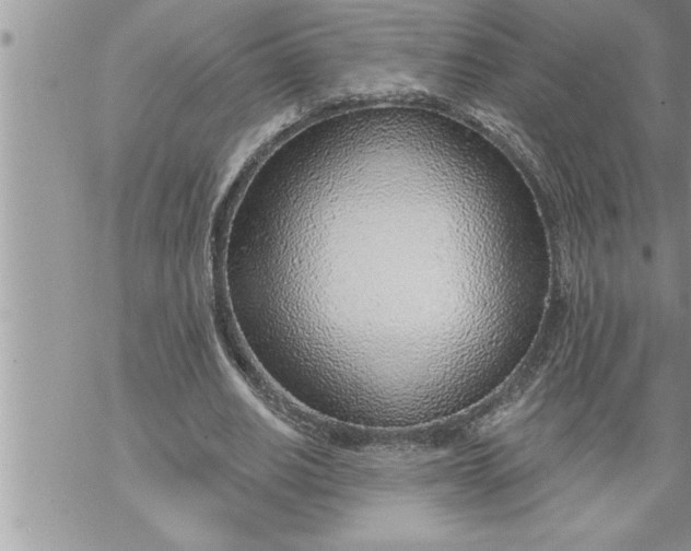 X0000069840630200606021402