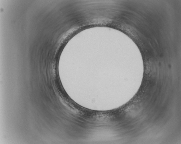 X0000069840632200606021402