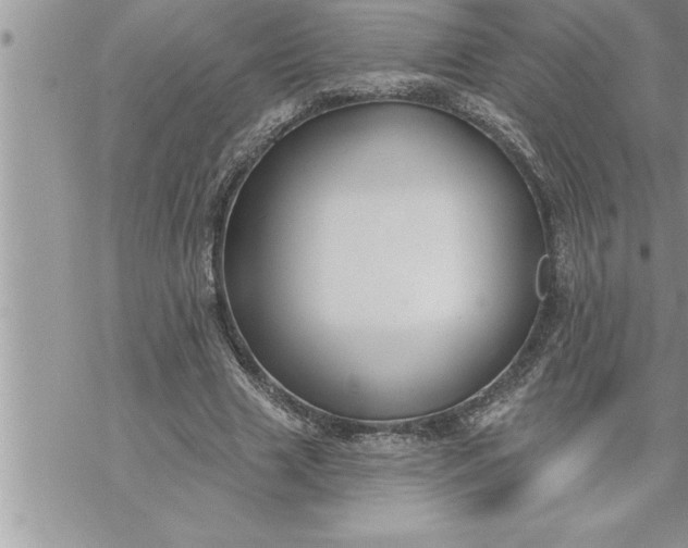 X0000069840633200606021402