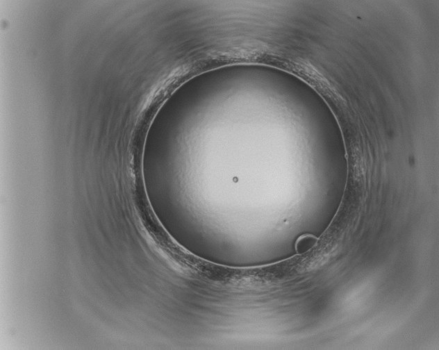 X0000069840634200606021402