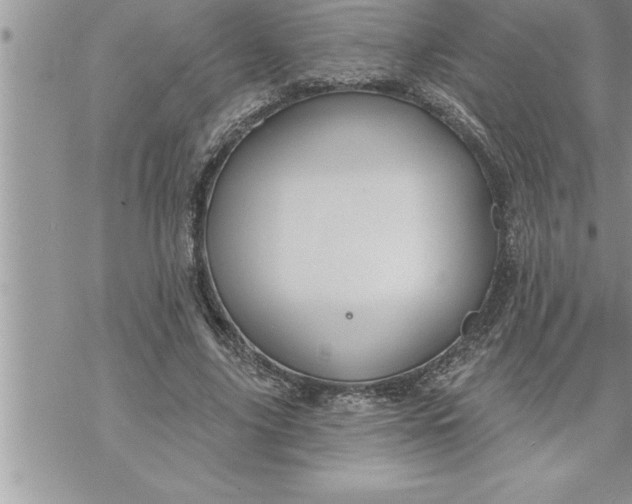 X0000069840635200606021402