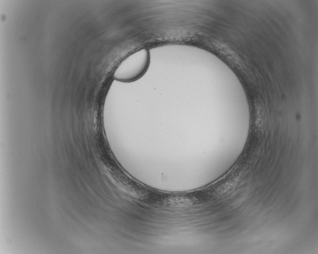 X0000069840636200606021402