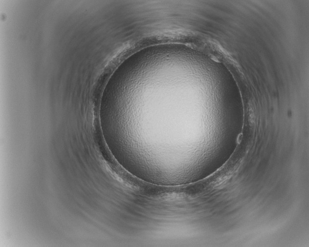 X0000069840637200606021402